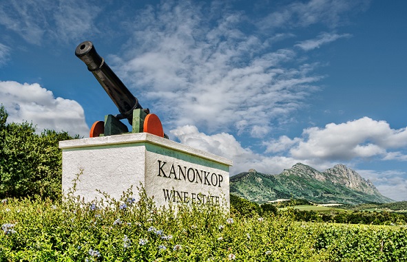 Kanonkop Estate